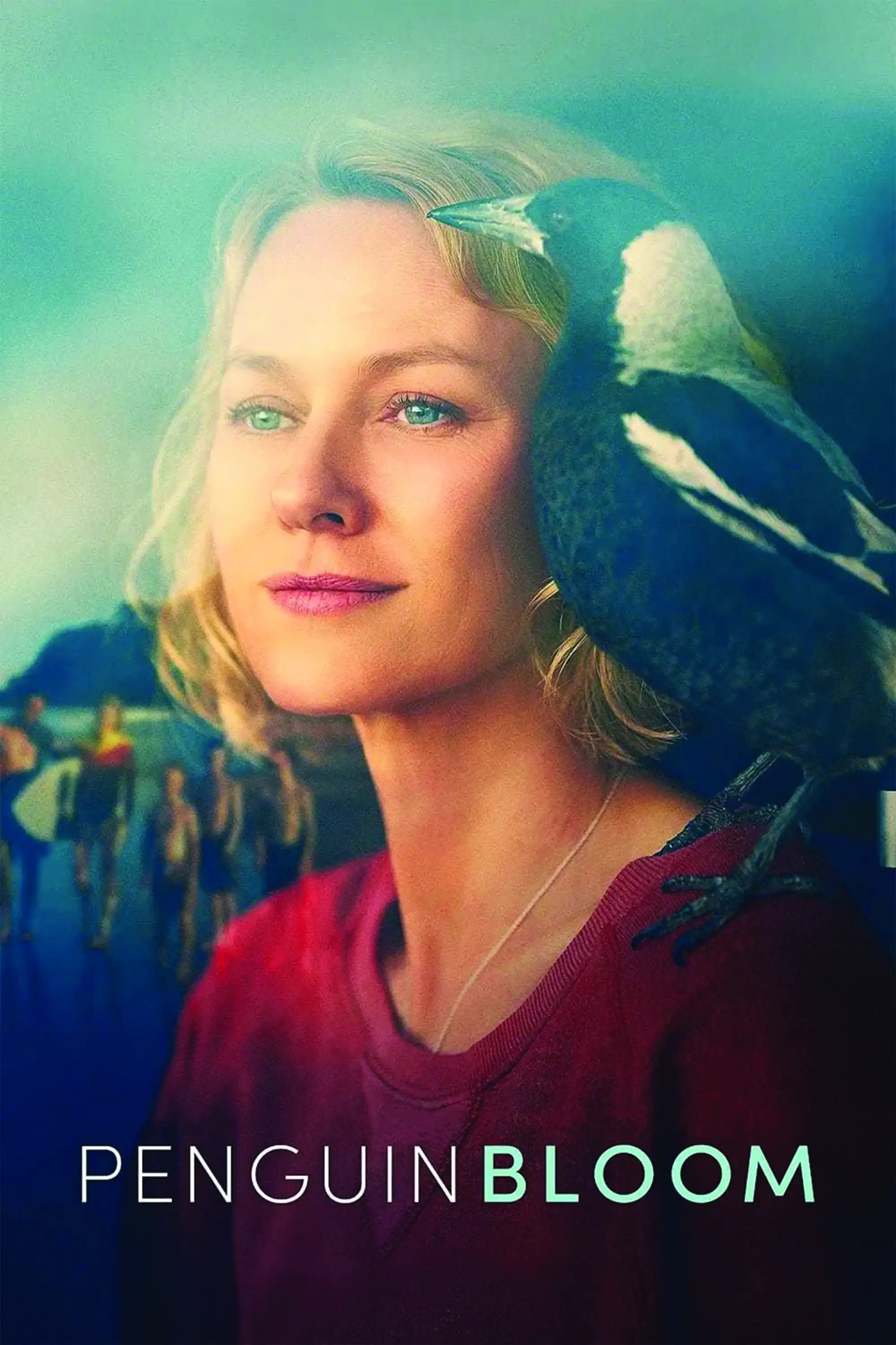 پنگوئن بلوم