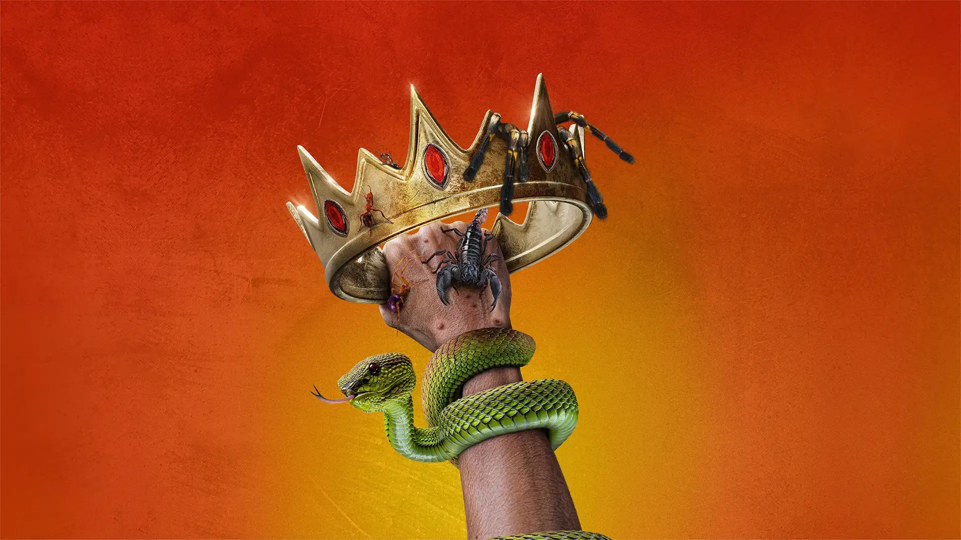 پادشاهان درد